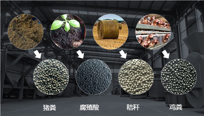 雞糞有機(jī)肥生產(chǎn)線生產(chǎn)工藝全面解析(圖2) 雞糞有機(jī)肥成品顆粒